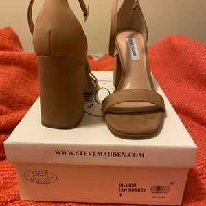 Steve Madden Dillion